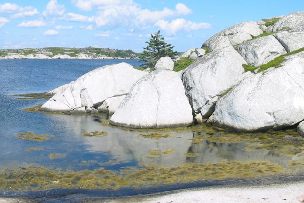 header-background-image_v5